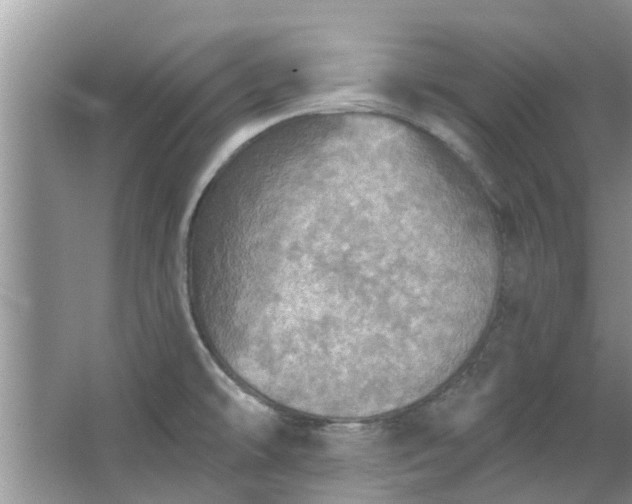 X0000067471478200604101146