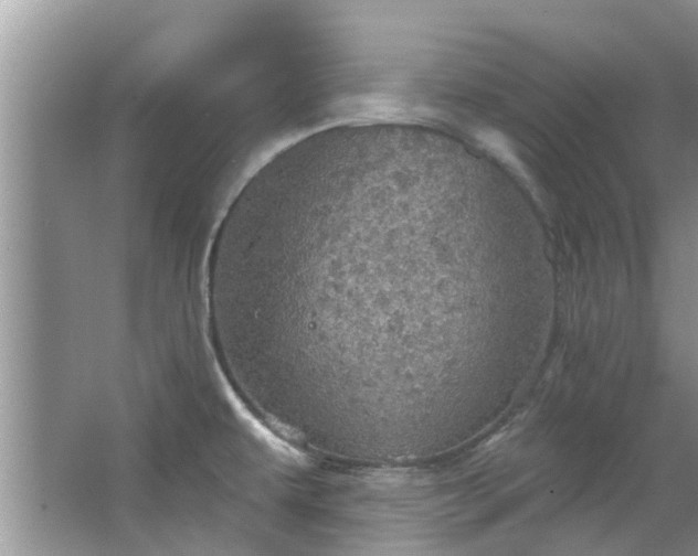 X0000067471479200604101146