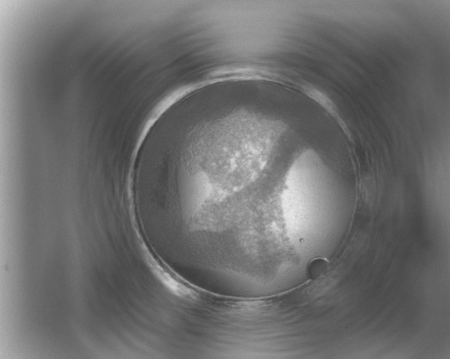 X0000067471482200604101146