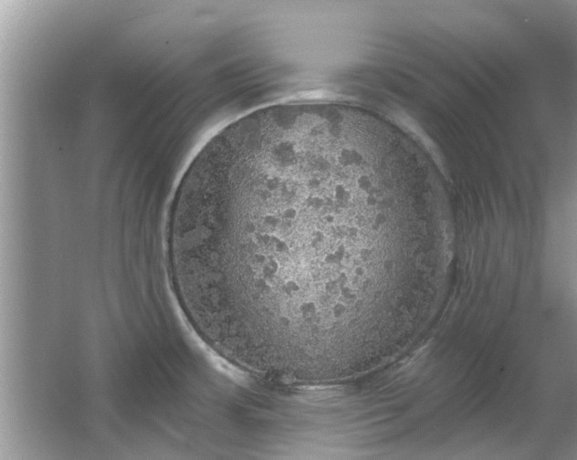 X0000067471483200604101146