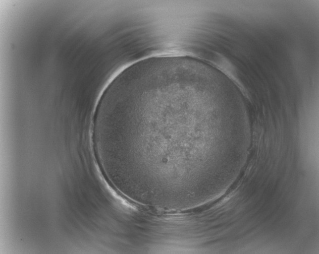 X0000067471484200604101146