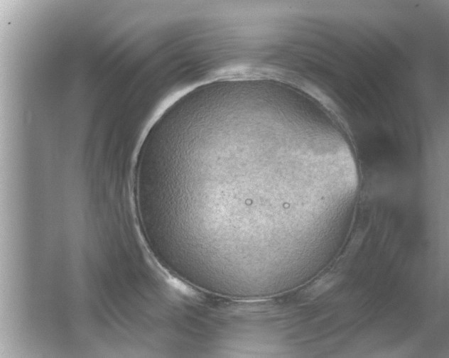 X0000067471486200604101146