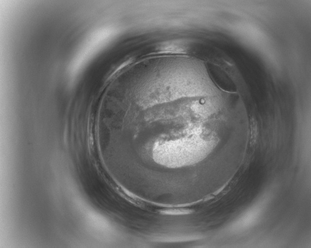 X0000067471487200604101146