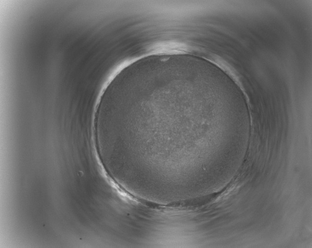 X0000067471488200604101146