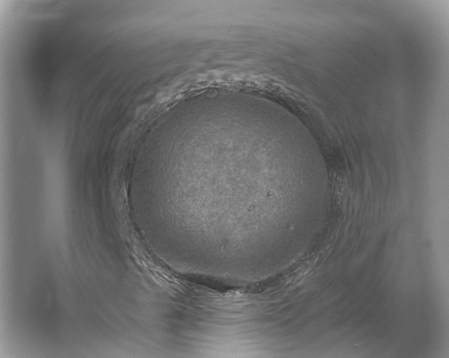 X0000067471489200604101145