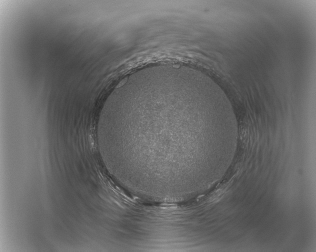 X0000067471490200604101145