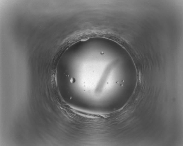 X0000067471492200604101145