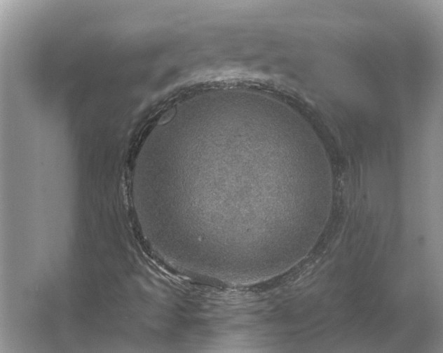 X0000067471493200604101145