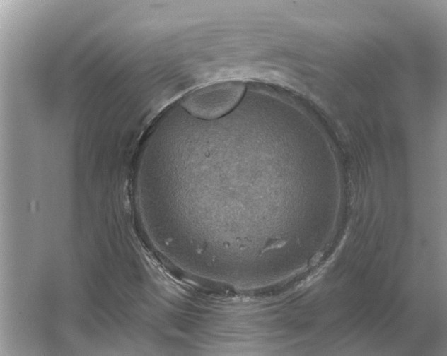 X0000067471497200604101145