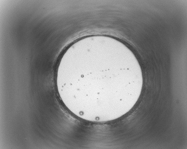 X0000067471498200604101145