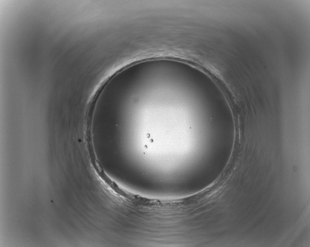 X0000067471500200604101145