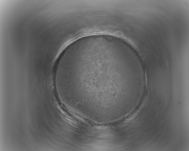 X0000067471501200604101145