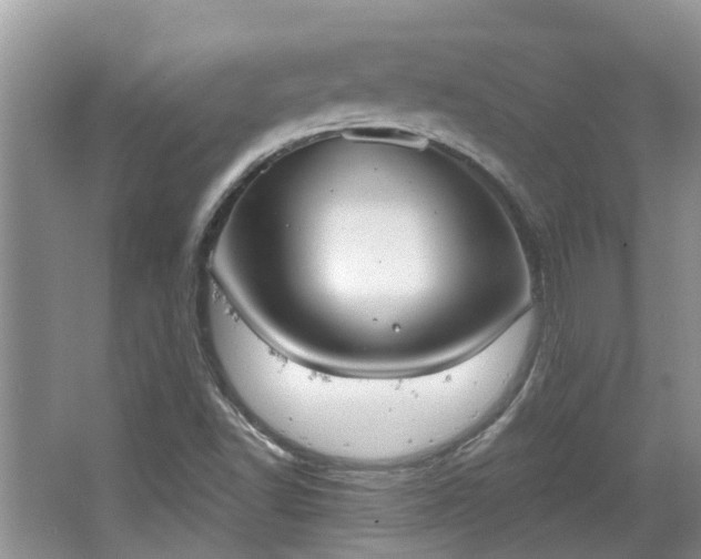 X0000067471502200604101145