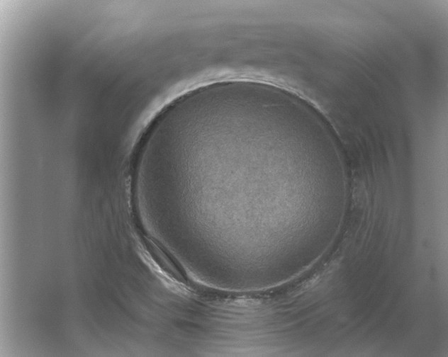 X0000067471503200604101145