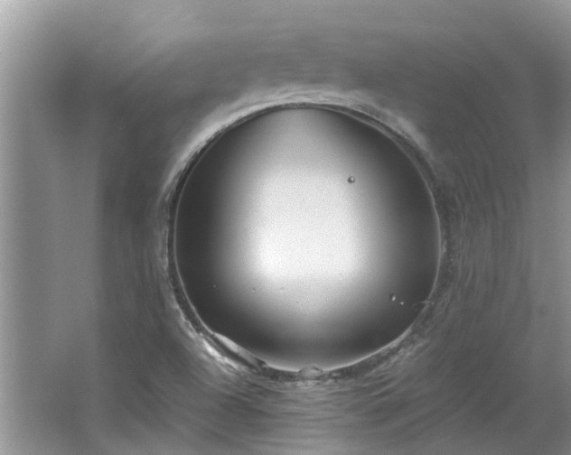 X0000067471504200604101145