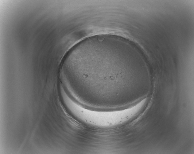 X0000067471505200604101145