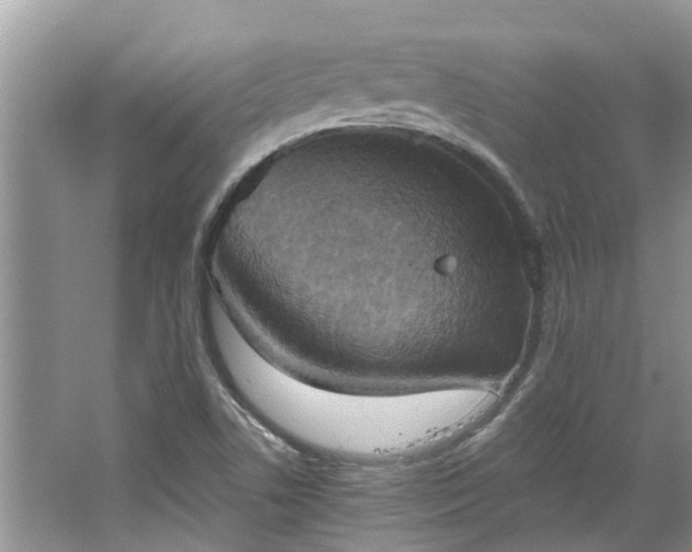 X0000067471506200604101145