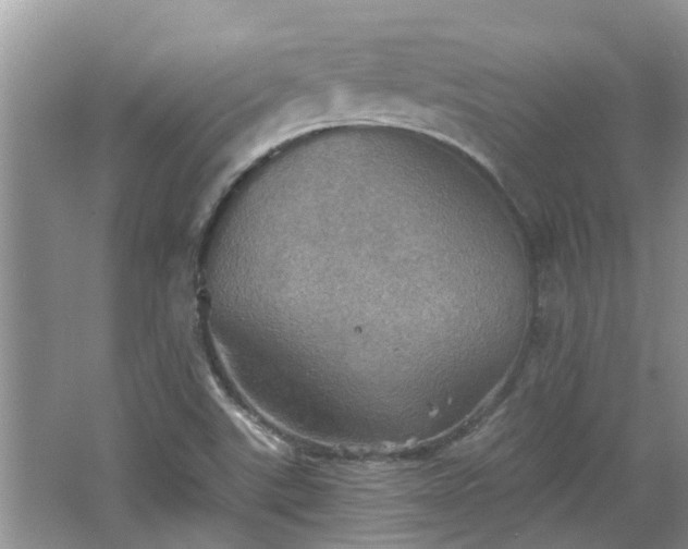 X0000067471507200604101145