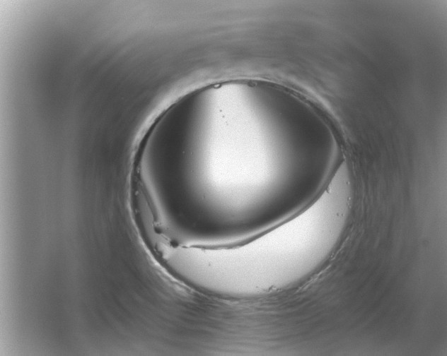 X0000067471512200604101145