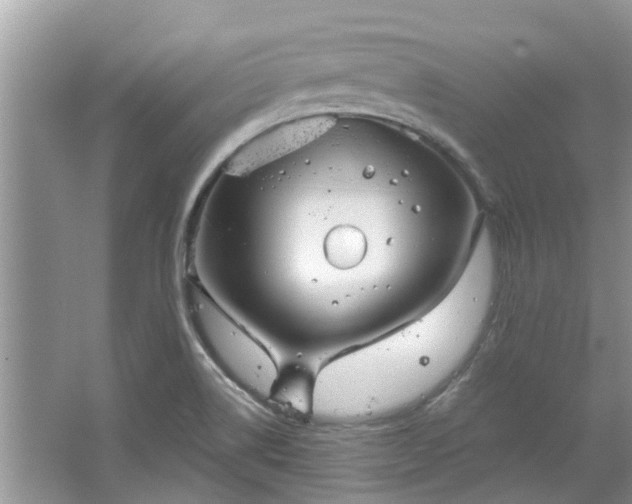 X0000067471514200604101145