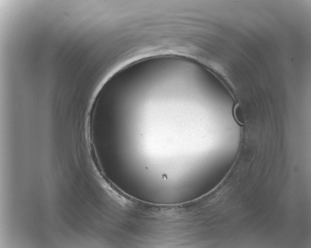 X0000067471516200604101145