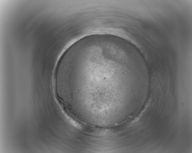 X0000067471517200604101145