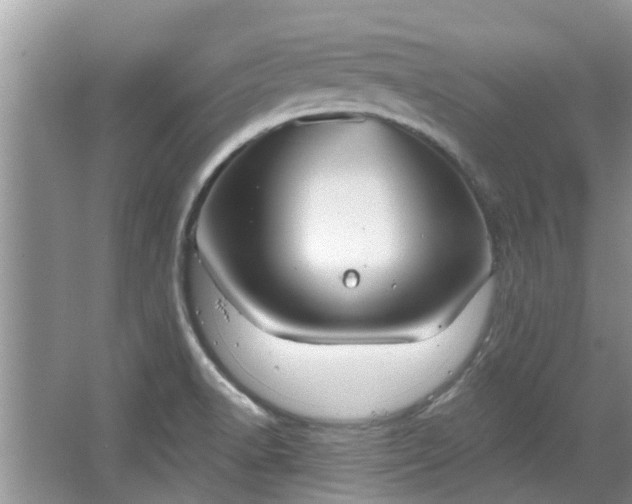 X0000067471518200604101145