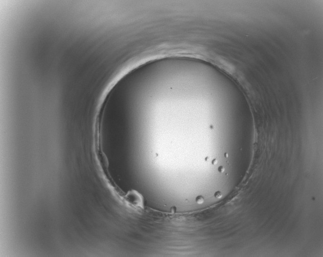 X0000067471520200604101145