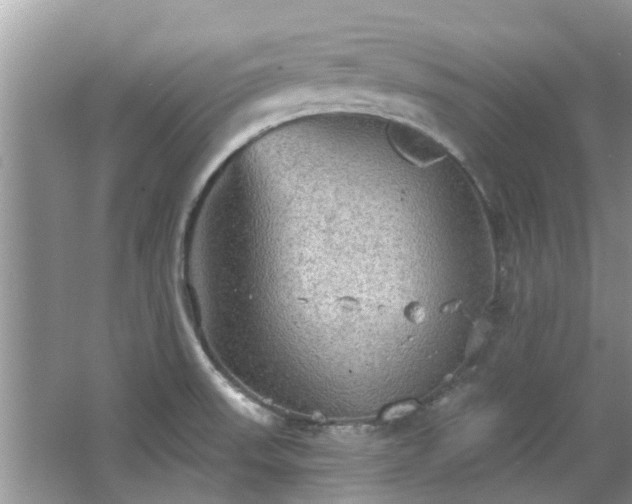 X0000067471523200604101145