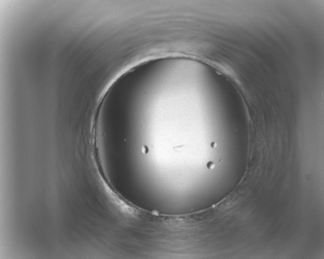 X0000067471524200604101145