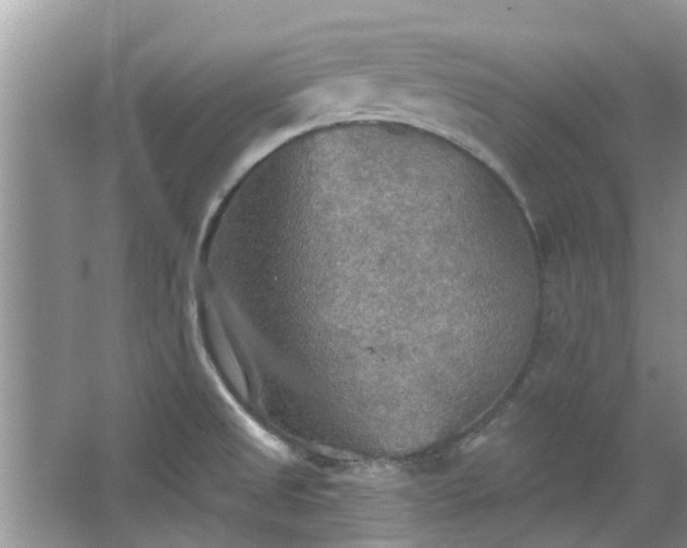 X0000067471525200604101145