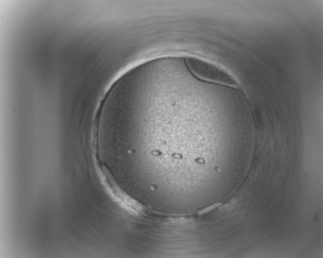 X0000067471526200604101146