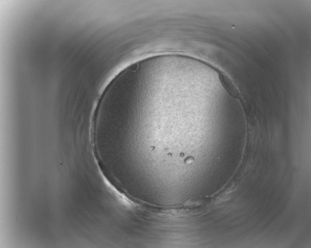 X0000067471527200604101146