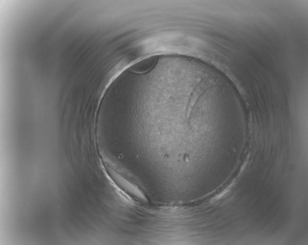 X0000067471529200604101146