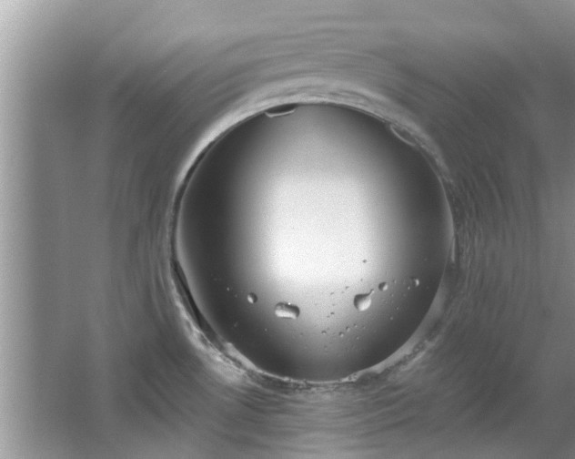 X0000067471530200604101146