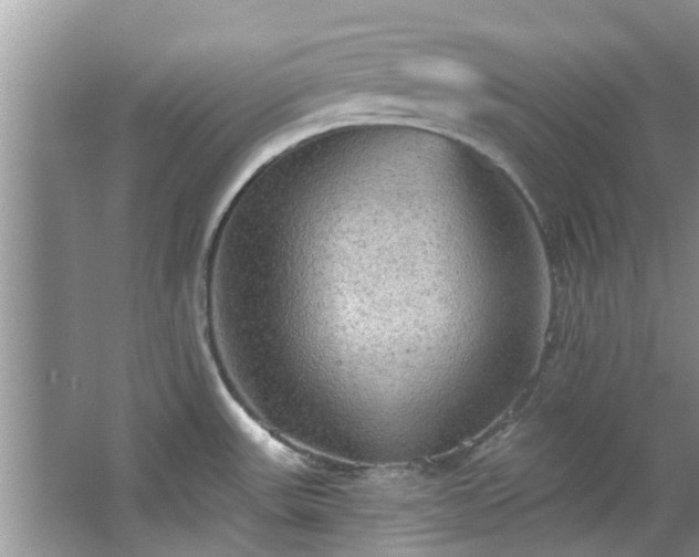 X0000067471531200604101146