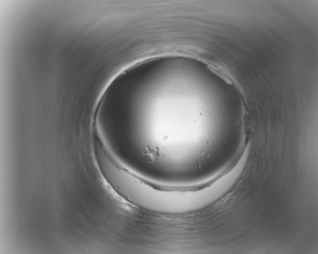 X0000067471532200604101146