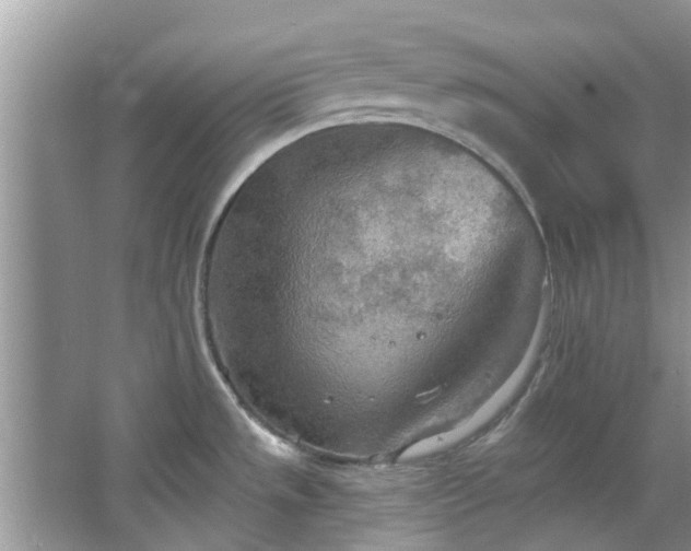 X0000067471533200604101146