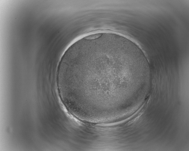 X0000067471534200604101146