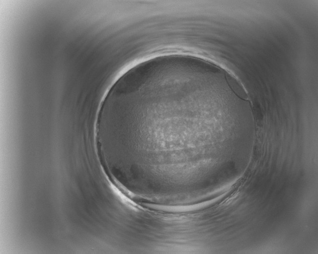 X0000067471535200604101146