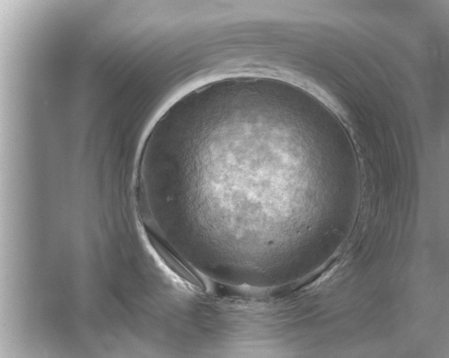 X0000067471536200604101146