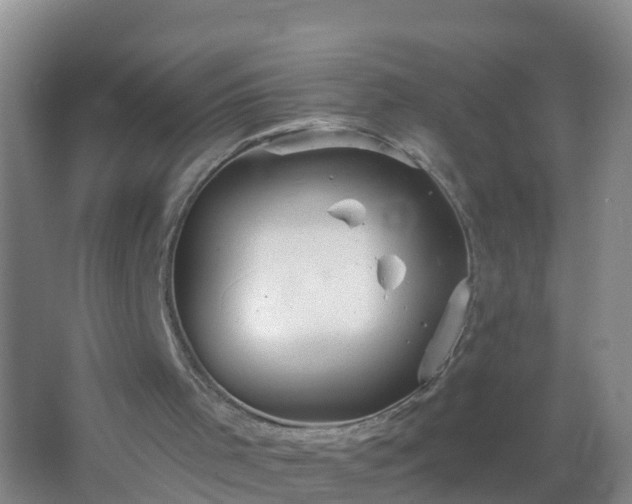 X0000067470001200604150002