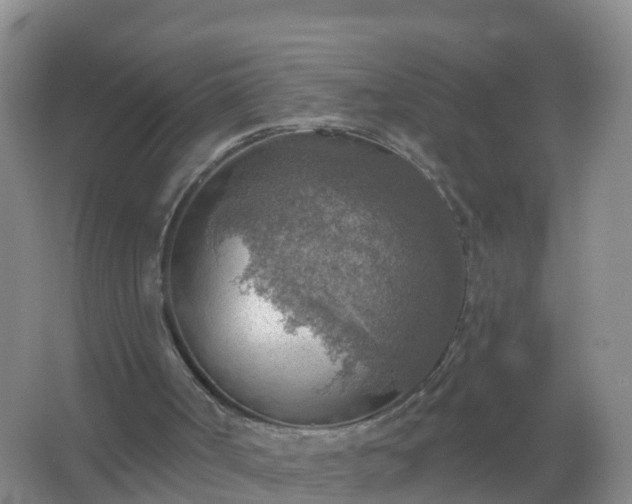 X0000067470002200604150002