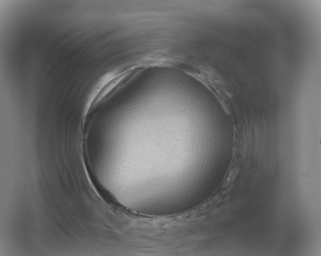 X0000067470003200604150002