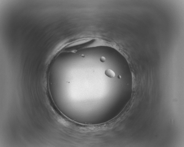 X0000067470005200604150002