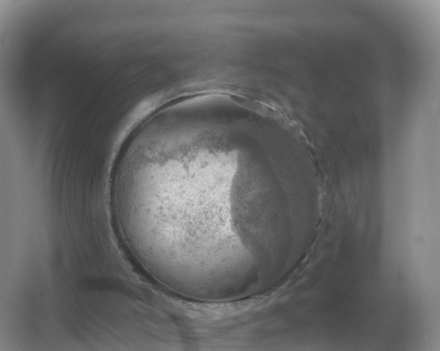 X0000067470006200604150002