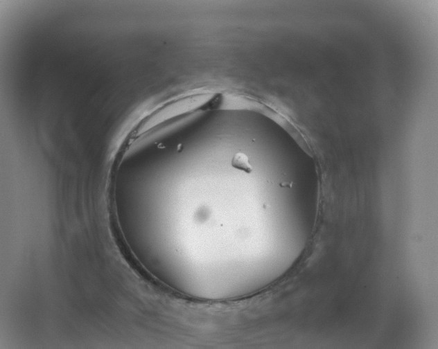 X0000067470007200604150002