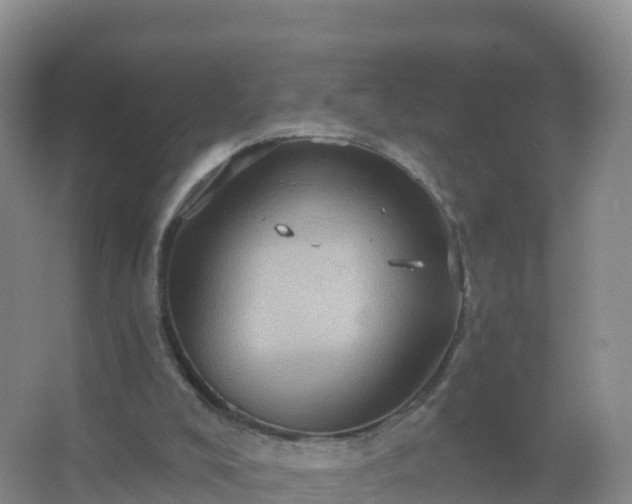 X0000067470008200604150002