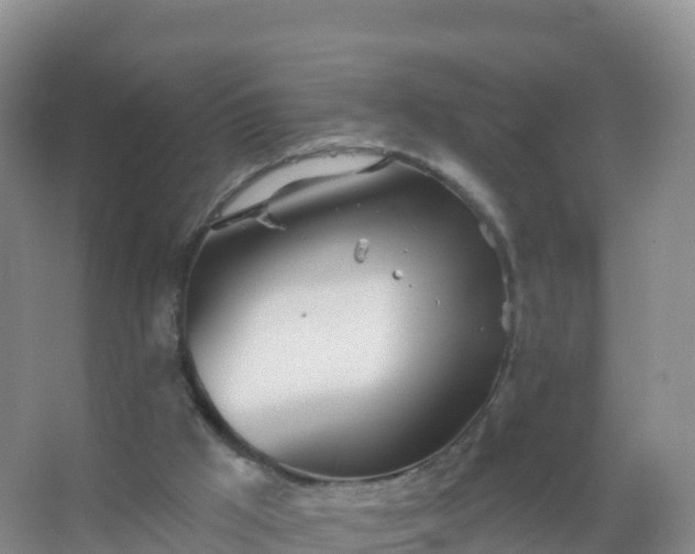 X0000067470009200604150002