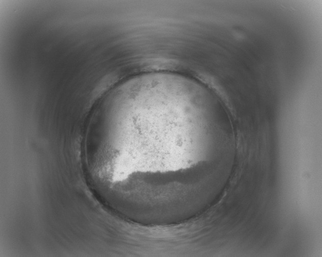 X0000067470010200604150002